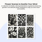 One Color Coloring Book - Flowers Edition (Pre-order)