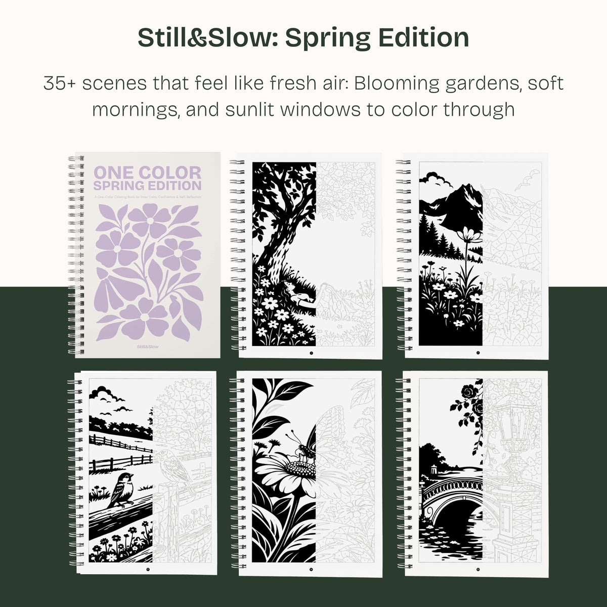 Spring Edition cover with six page samples: blooming gardens, soft mornings and sunlit windows
